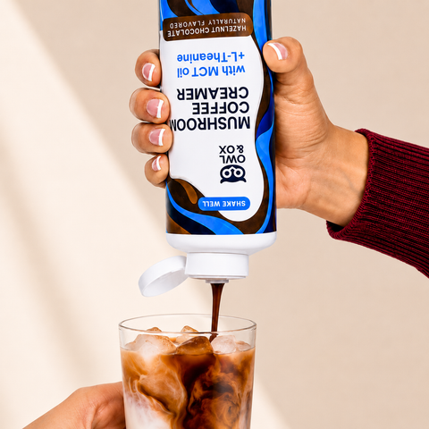 Brain and Mood Creamer - Chocolate Hazelnut – Owlandox